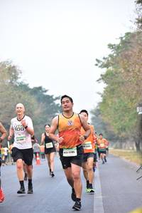 BIB: 2185
                            <button type="button" onclick="openModal(10134791)" class="btn btn-primary btn-sm float-right btn-popup" data-toggle="modal" data-target=".modal-high-quality">
                        <i class="fas fa-shopping-cart"></i> Add to Cart
                    </button>
                                            <button type="button" onclick="isThisMe(10134791, true)" class="btn btn-success btn-sm float-right btn-popup btn-isme hidden" data-toggle="tooltip" data-placement="bottom" title="นี่คือรูปของคุณใช่ไหม คลิกที่นี่เพื่อเอาเข้าอัลบั้ม">
                        <i class="fas fa-plus"></i> Add to album
                    </button>
                    <button type="button" onclick="isThisMe(10134791, false)" class="btn btn-warning btn-sm float-right btn-popup btn-isnotme hidden">
                        <i class="fas fa-ban"></i> Remove from album
                    </button>